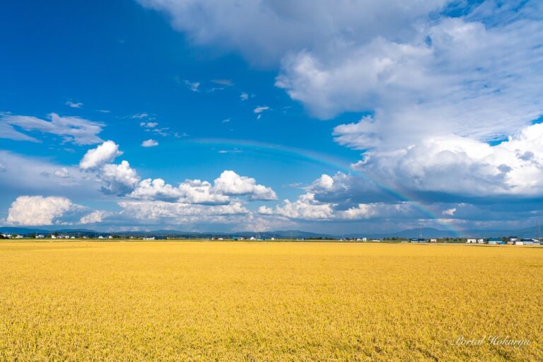 豊作を祝う虹