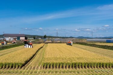 令和３年度・酒米「彗星」の稲刈り！今年の特別純米酒「北竜彗星」が楽しみ！