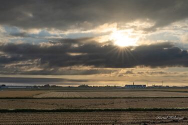 秋のお彼岸に感謝と祈りをこめて！