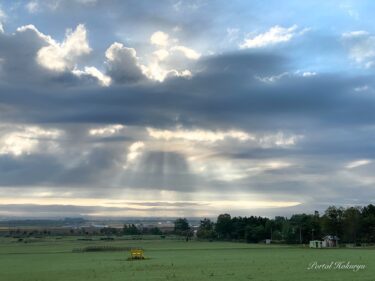 Sức mạnh ánh sáng thần thánh khiến mọi thứ tỏa sáng