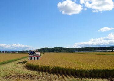 北竜町長 佐野豊 活動報告・9月2日（木）終日事務書類整理、職員と打ち合わせ