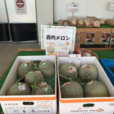 赤肉メロンが始まりました。ネットも綺麗で美味しいそう【みのりっち北竜】