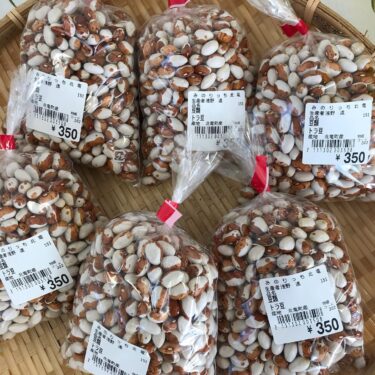 今年の新物の豆が入りました。豆の王様トラ豆です。煮豆に最高【みのりっち北竜】