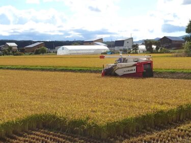 北竜町長 佐野豊 活動報告・9月6日（月）町長部局課長等ミーティング、空知町長会「米価下落対策事務」(岩見沢市)