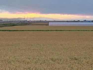 北竜町長 佐野豊 活動報告・9月8日（水）第3回議会定例会準備（職員と打ち合わせ）、和町内会・宮井敏光氏通夜焼香参列