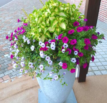 Báo cáo hoạt động của Thị trưởng Yutaka Sano của thị trấn Hokuryu: Ngày 13 tháng 9 (Thứ Hai) Đại hội thường kỳ lần thứ 3 của Reiwa 3 (2021) ☆ "Câu hỏi chung": 9 câu hỏi từ 6 người