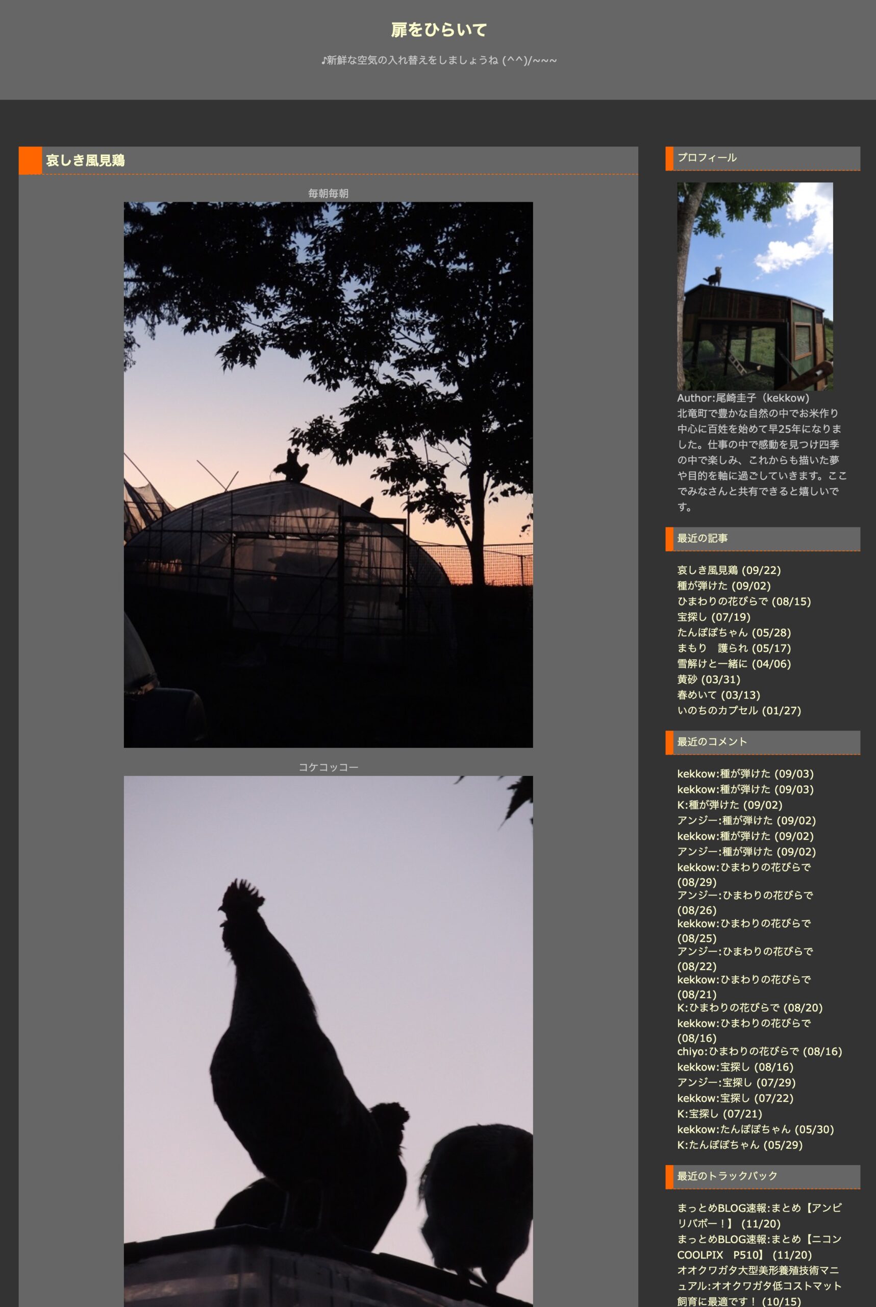 哀しき風見鶏【扉をひらいて・尾崎圭子さん】
