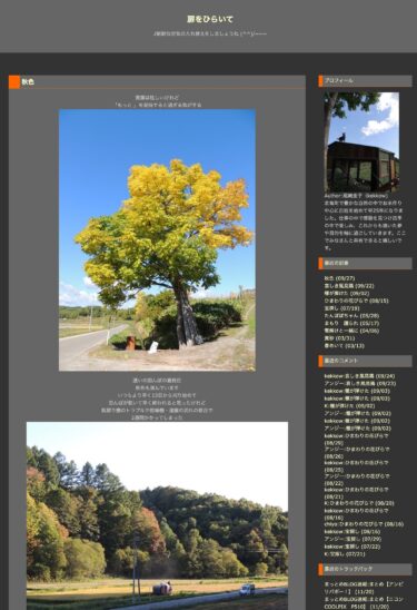 สีสันฤดูใบไม้ร่วง: วันสุดท้ายของการเที่ยวชมทุ่งนา สีสันของฤดูใบไม้ร่วงก็เริ่มเริ่มปรากฏเช่นกัน [เปิดประตู เคโกะ โอซากิ]