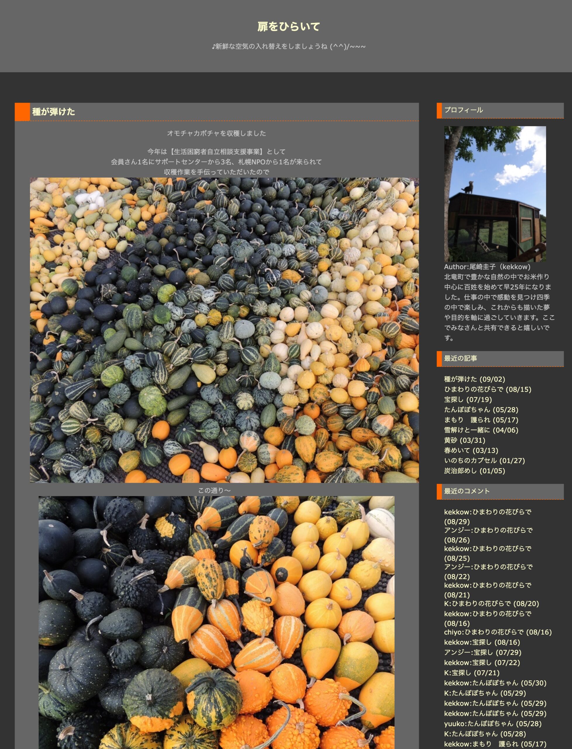 Toxumlar atıldı: Oyuncaq balqabaqları yığdıq [Qapını açın, Keiko Ozaki]