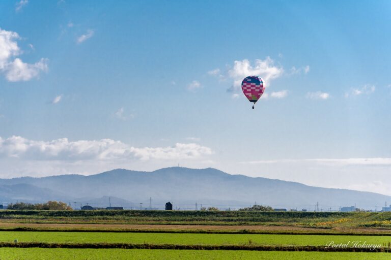 空に舞うバルーン