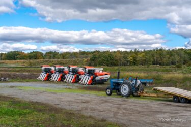 穏やかなる秋の風景