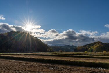 冬に耐えるパワーを秘めた光