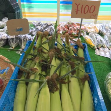 落葉きのこ 🍄 が沢山入っています。サニーショコラのとうきびも入りました。とうきびごはん美味しいですよ ♪【みのりっち北竜】