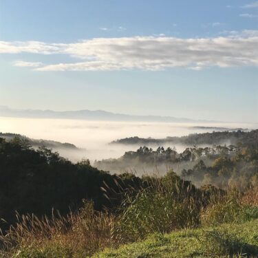 眺望の丘へ今朝雲海を見に行きました。最高の雲海が見れましたよ♪♪♪【みのりっち北竜】