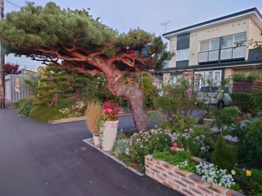 北竜町長 佐野豊 活動報告・10月12日（火）北海道新聞道央圏支社長兼営業局次長来訪、北竜振興公社経営会議