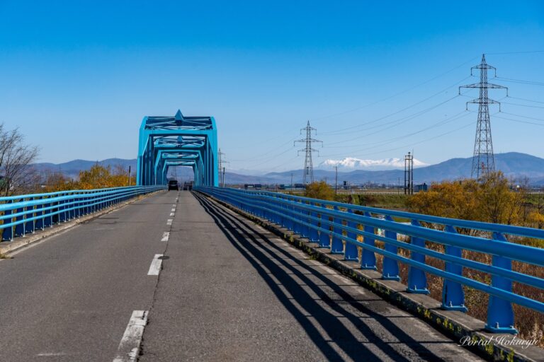 明日への架け橋