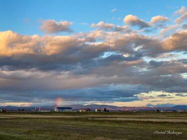 祝福の輝きを放つ虹