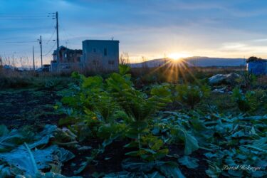 太陽の元気パワーを浴びて！