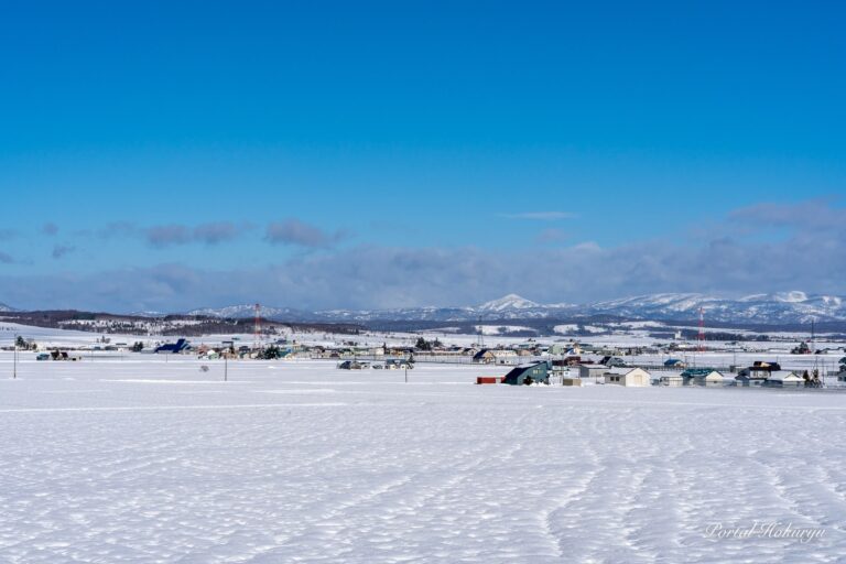 白銀の雪原に広がる風景