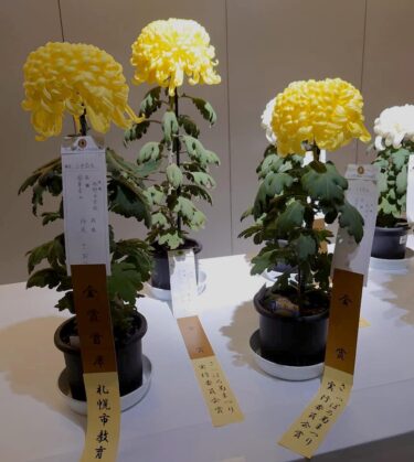 北竜町長 佐野豊 活動報告・11月8日（月）町長部局課長等ミーティング、議会議長と懇談、北竜町集落支援員と懇談、美葉牛町内会Ｒ４年度要望協議、秩父別町長来訪