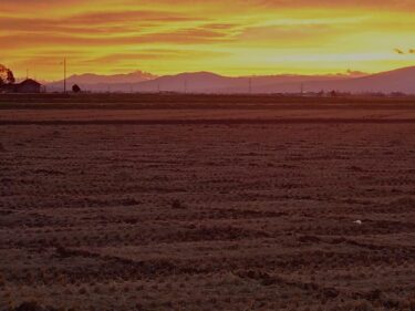 รายงานกิจกรรมของนายกเทศมนตรีเมืองโฮคุริว ยูทากะ ซาโนะ วันที่ 10 พฤศจิกายน (วันพุธ) วันเปิดสำนักงานนายกเทศมนตรีเดือนพฤศจิกายน เข้าร่วมพิธีสวดภาวนาและจุดธูปเทียนเพื่อรำลึกถึงอดีตสมาชิกสภานิติบัญญัติจังหวัดฮอกไกโด โนบุโอะ มูไร