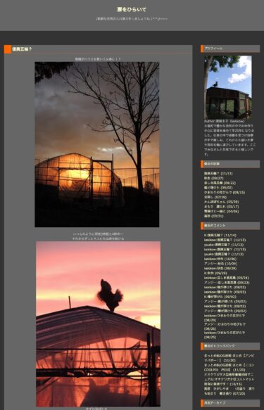 Yenidənqurma Olimpiadaları? 2013-cü ildən bəri Nii zəlzələdən sonra hər il Tohoku turu edir [Qapını Aç - Keiko Ozaki]