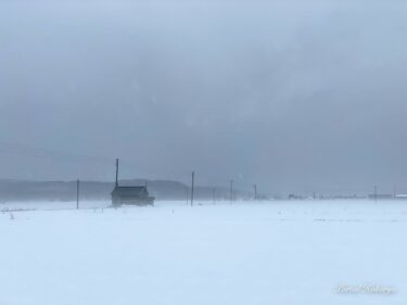 từ màu xám sang màu trắng