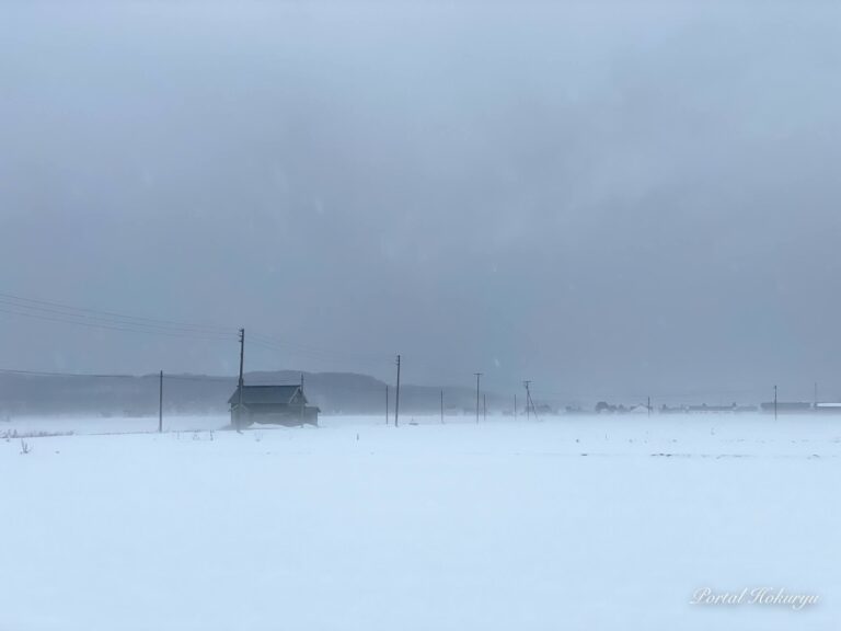 グレーからホワイトへ