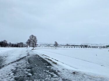 真っ白な雪原広がるひまわりの里