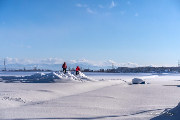 雪原で遊ぶ子どもたち