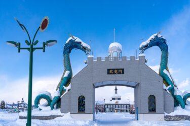 北竜町の守護神・竜とひまわりに感謝をこめて！