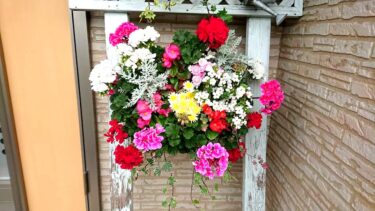 北竜町長 佐野豊 活動報告・12月7日（火）第４回議会定例会準備、追加議案協議