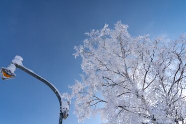 御用始め！虎の如く、力強く躍動的に一歩前へ！