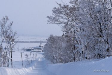 雪道に映るシルエット模様