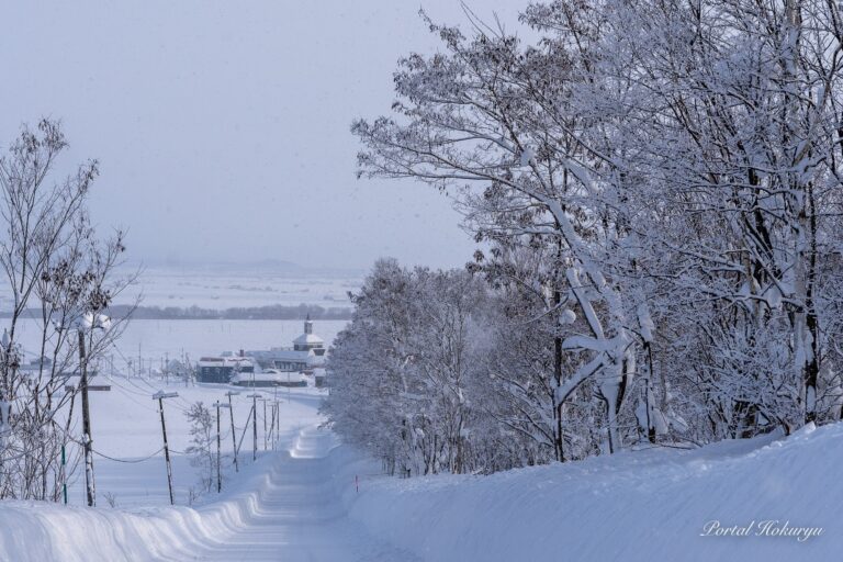 Silhouette pattern reflected on snowy road