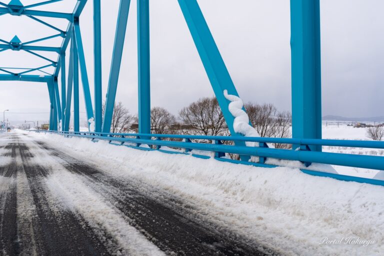 White snake dwelling in a bridge pillar