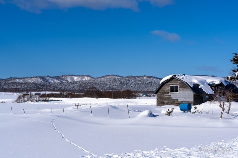 A wooden hut watching for footprints