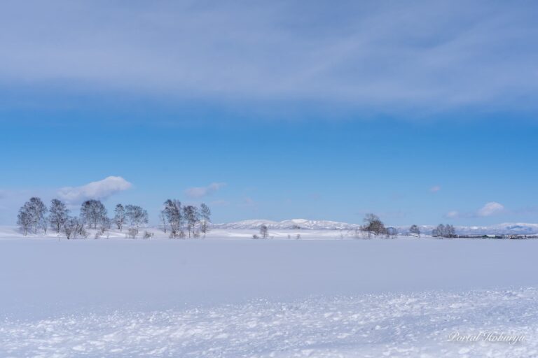 Blue and white serene landscape