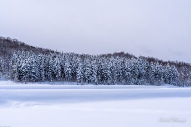 Phong cảnh mang phong cách Bắc Âu