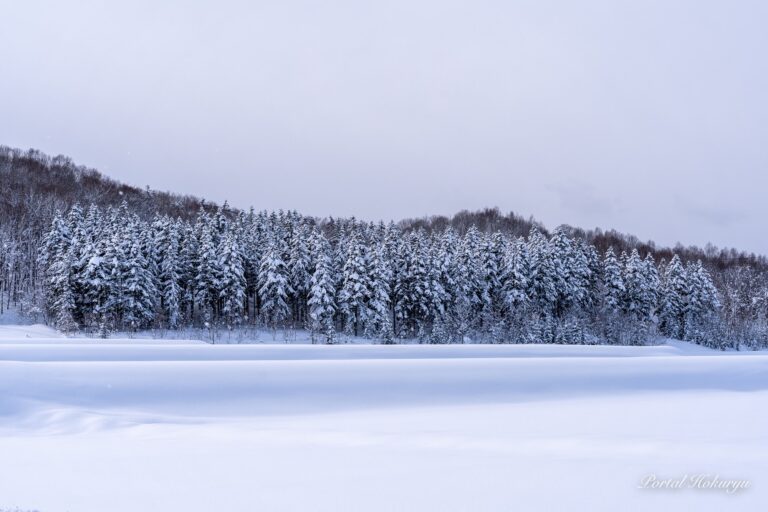 北欧のような風景