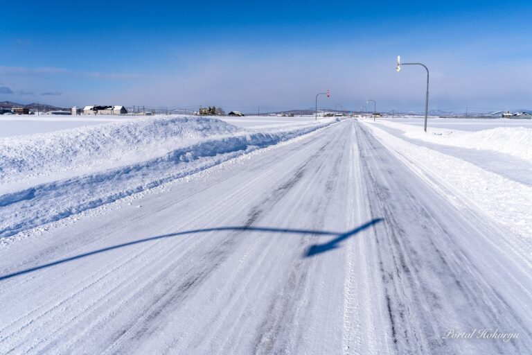 未知なる世界への道標