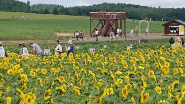 北竜町長 佐野豊 活動報告・1月13日（木）08:30 コロナウイルス感染症対策会議、17:00 コロナウイルス感染症対策会議