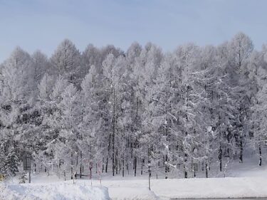 北竜町長 佐野豊 活動報告・1月17日（月）町長室課長等ミーティング、コロナウイルス感染症対策会議