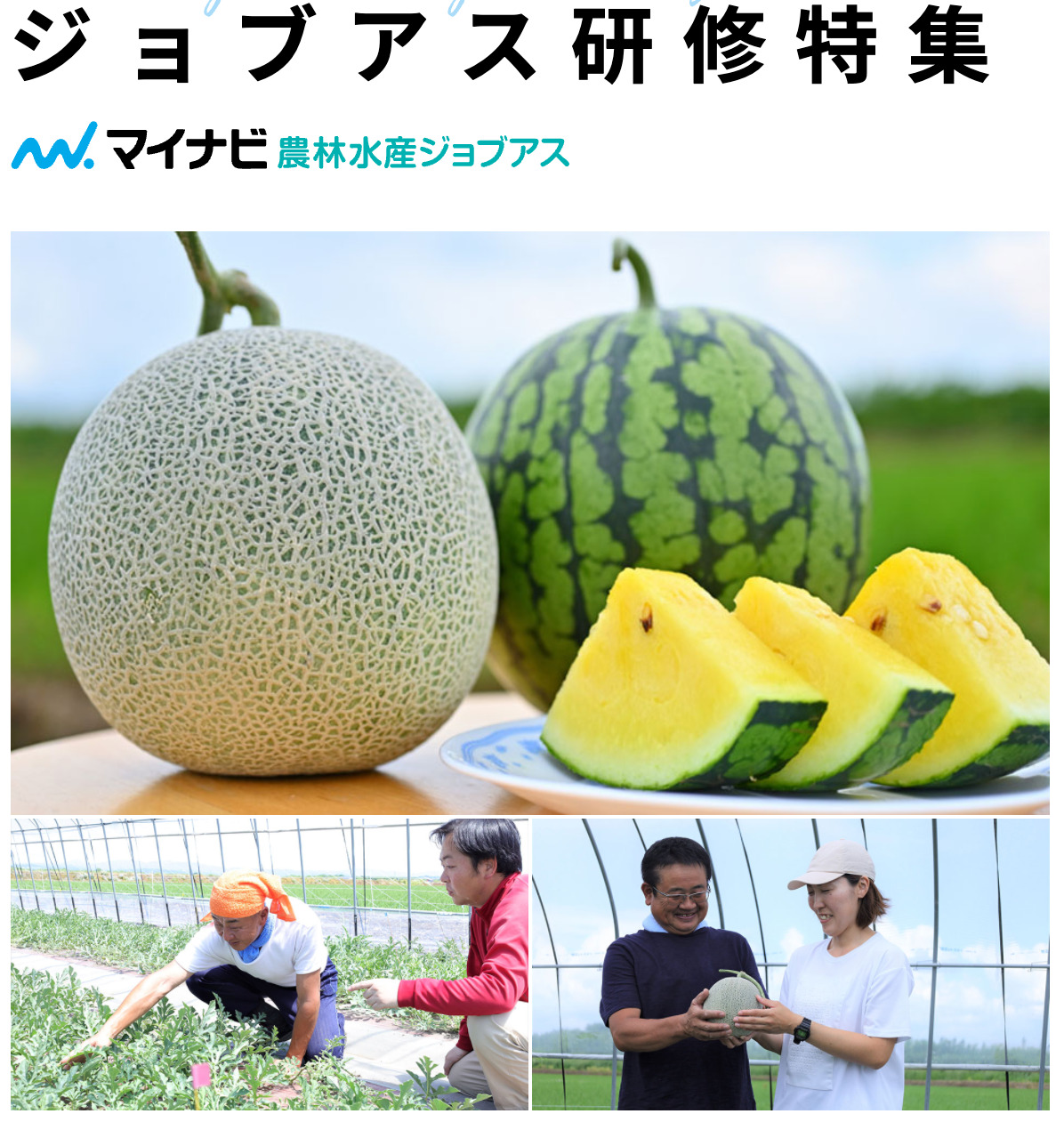 北竜町の新規就農研修（指導農業士の元でスイカやメロンなどの栽培）が「マイナビ農業」に掲載【マイナビ農業】