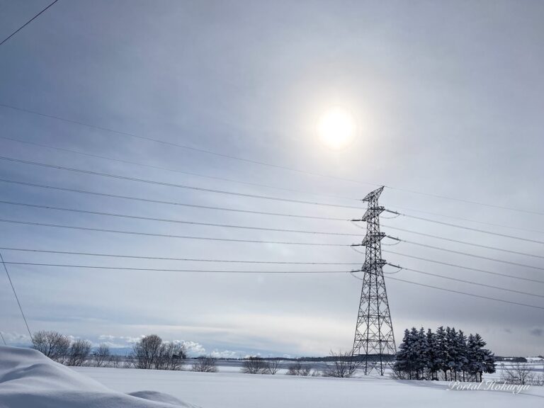 柔らかな光に包まれた節分の日