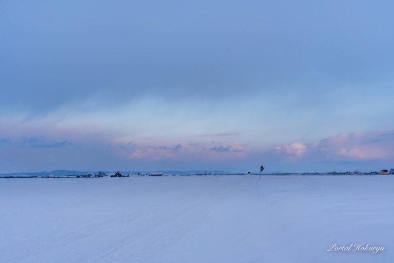 夕暮れ前の淡い空間