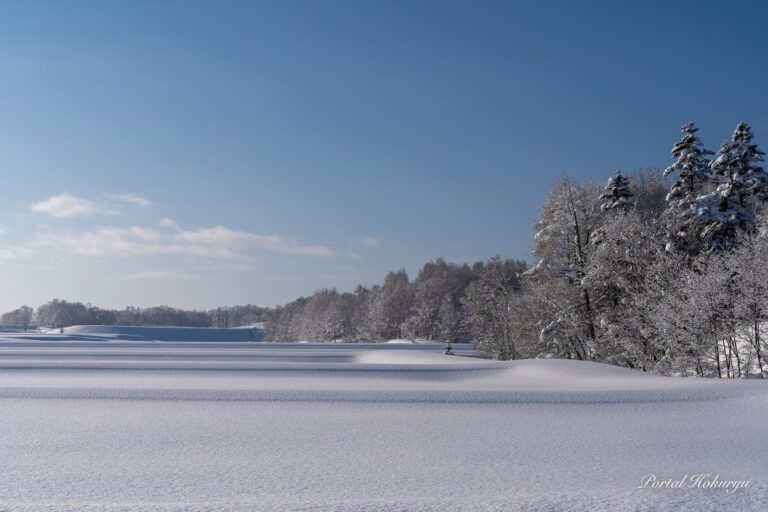A snowy field that sparkles like jewels