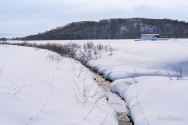 春の訪れを感じる川面の輝き