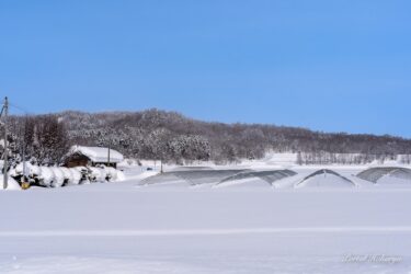 積雪量を測るパイプハウスの雪景色