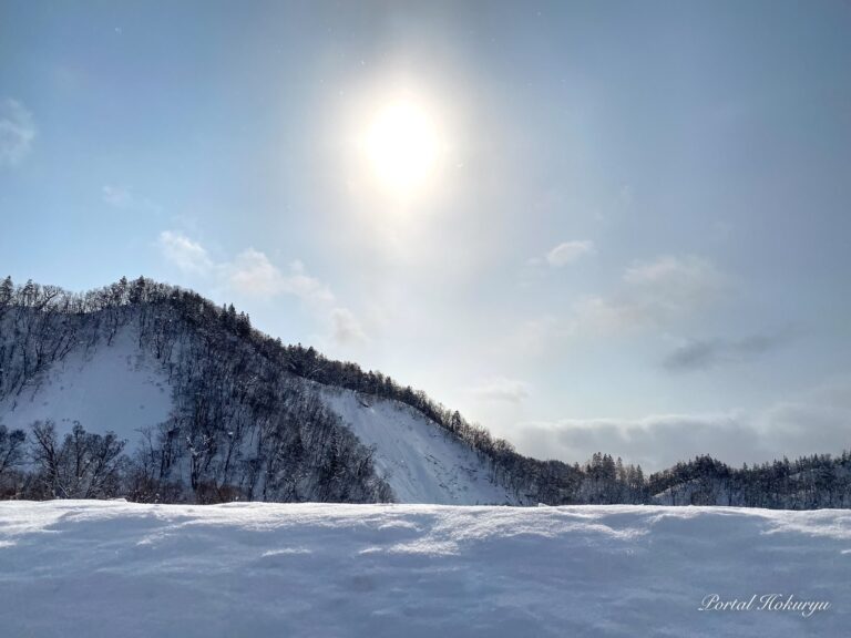 Gentle light awaits spring